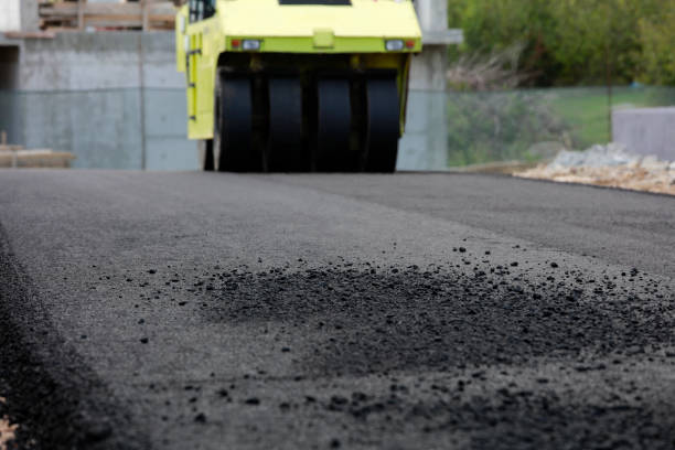 Best Best Driveway Pavers  in Lauderhill, FL